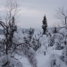 vue depuis l'intérieur du chalet
