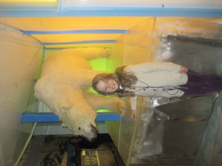 avec l'ours blanc...