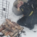 arrêt repas, feu dans la neige !