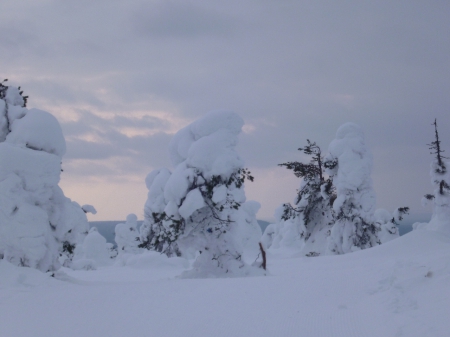 statues de sapins enneigés !